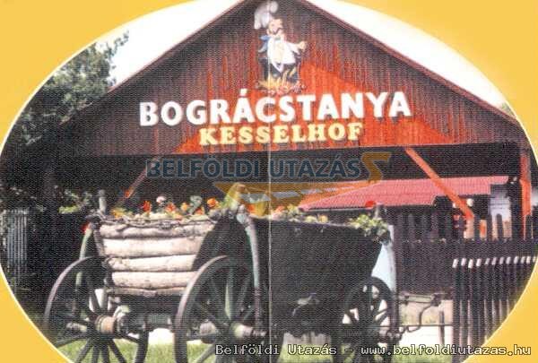 Magyar Panzi (2)