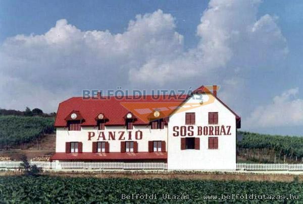 Ss Borhz Panzi (1)