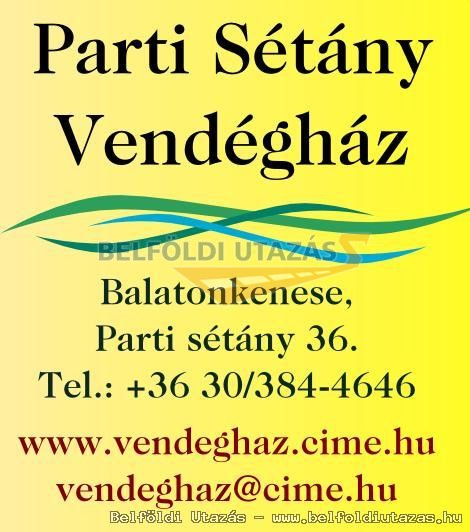 Parti Stny Panzi (2)