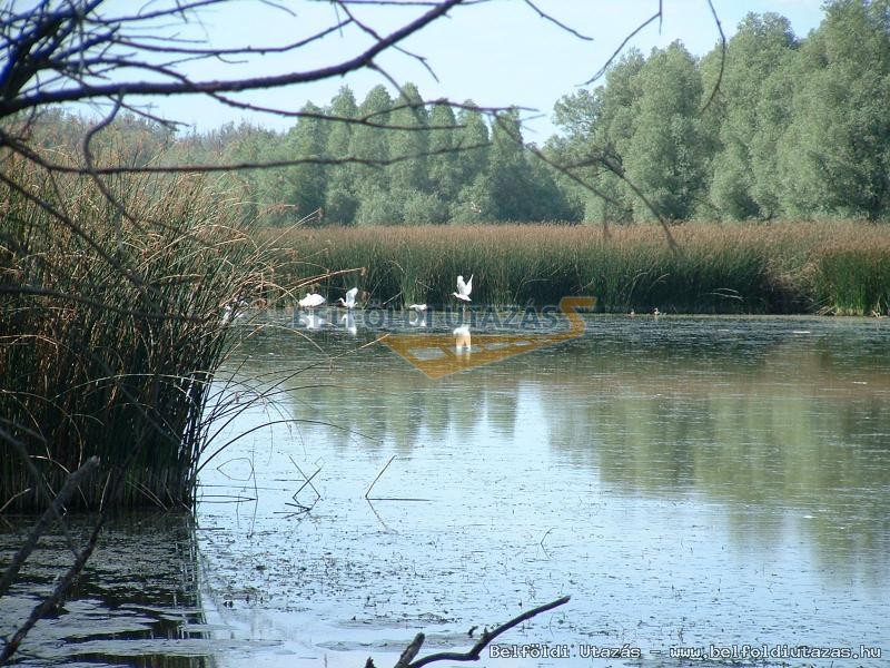 Gemenc Motel (6)