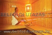 Villa-Vitae Wellness Hotel (10)