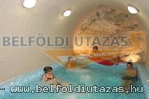 Villa-Vitae Wellness Hotel (9)