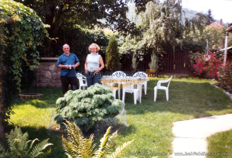 Majoros Zsolt Egyni Vllalkoz (2)