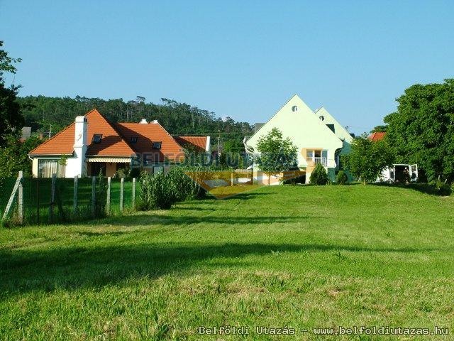 Bi Panzi - Zldhz Egszsg Centrum (9)