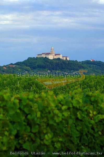 Winery of Archabbey Pannonhalma - Vineyards