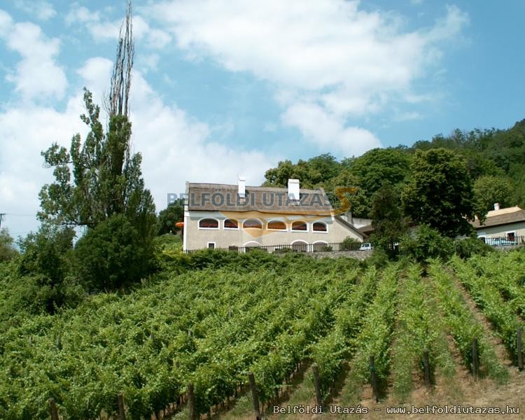 Rza Szegedy House Literary Memorial Museum